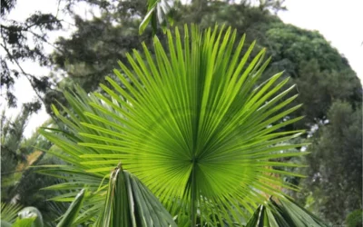 Conseils pour un voyage responsable et durable