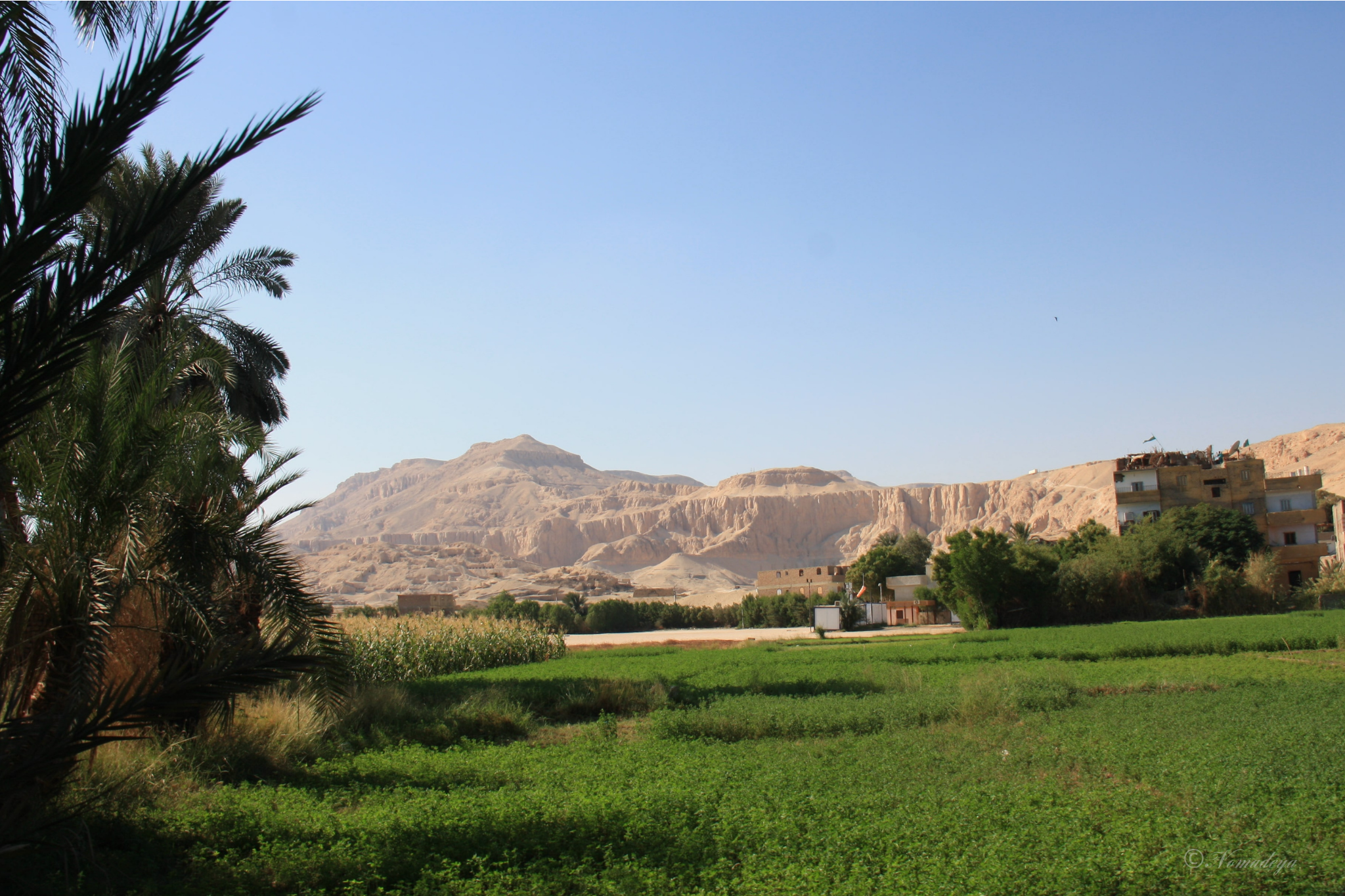 Egypte-Assouan-filigrane Egypte