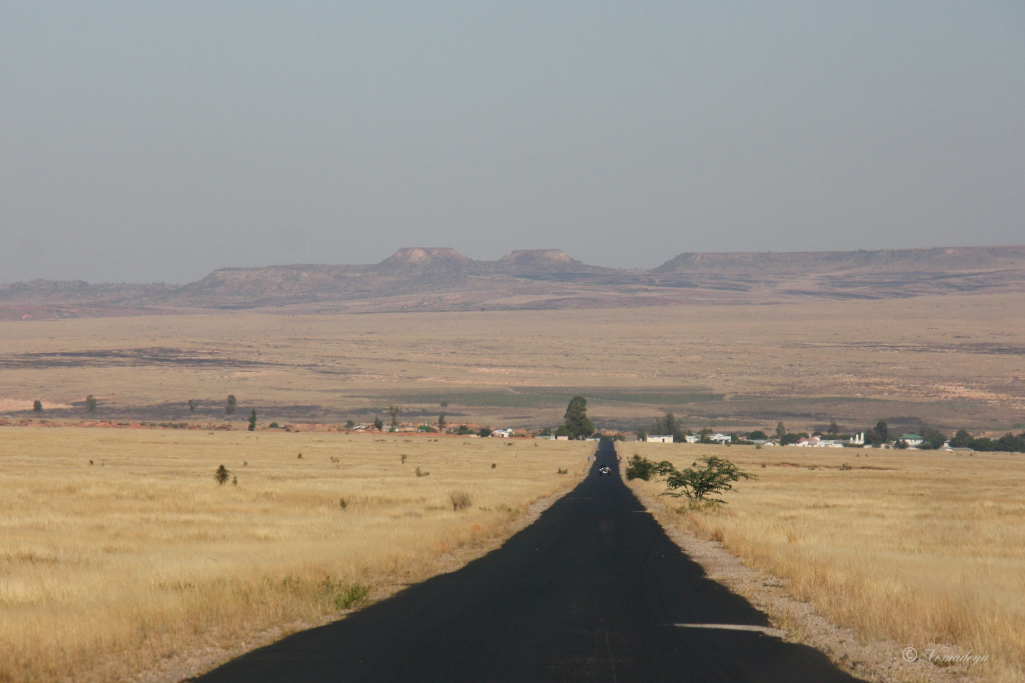road trip