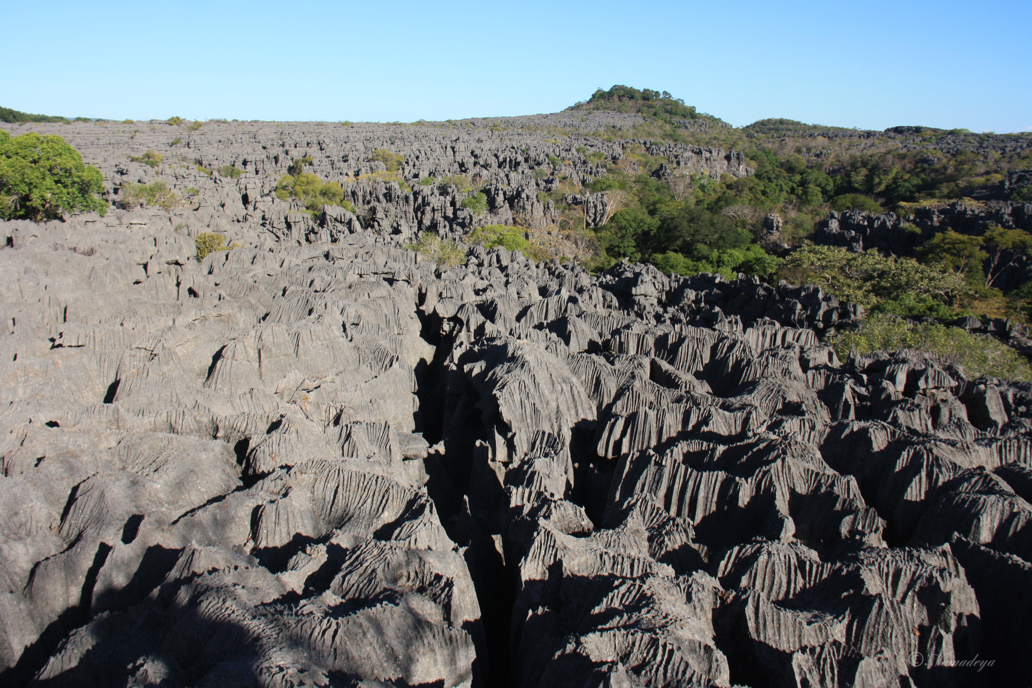 Madagascar-filigrane Madagascar