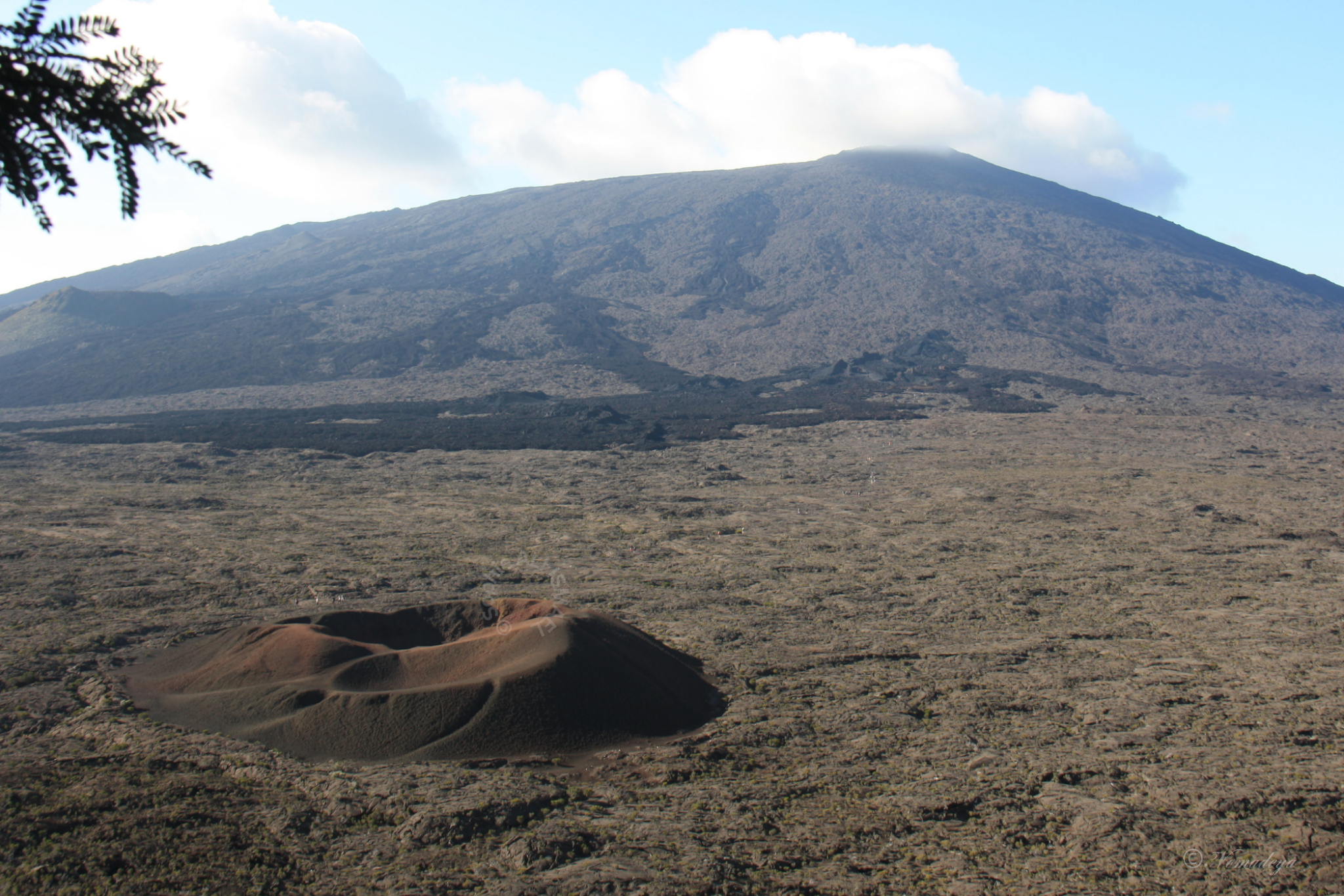 Réunion-filigrane Réunion