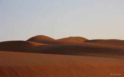 Voyage au moyen orient : Meilleures périodes