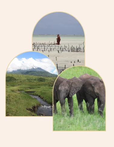 Tanzanie avec Nomadeya