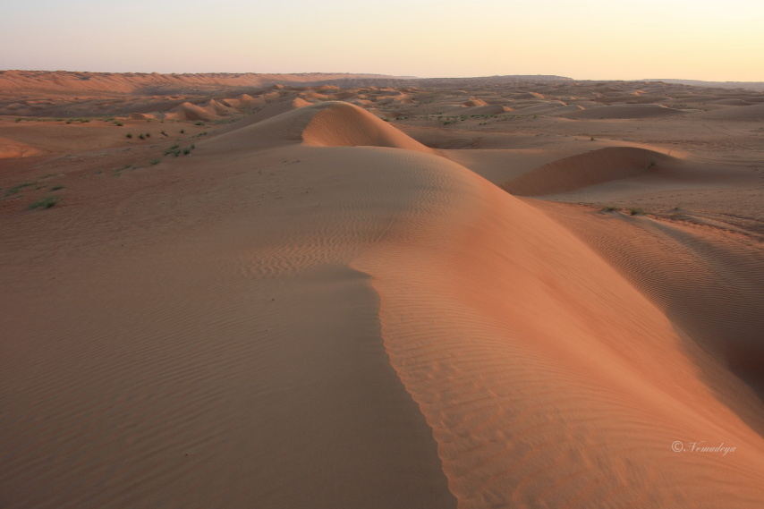 Wahiba sand, Oman