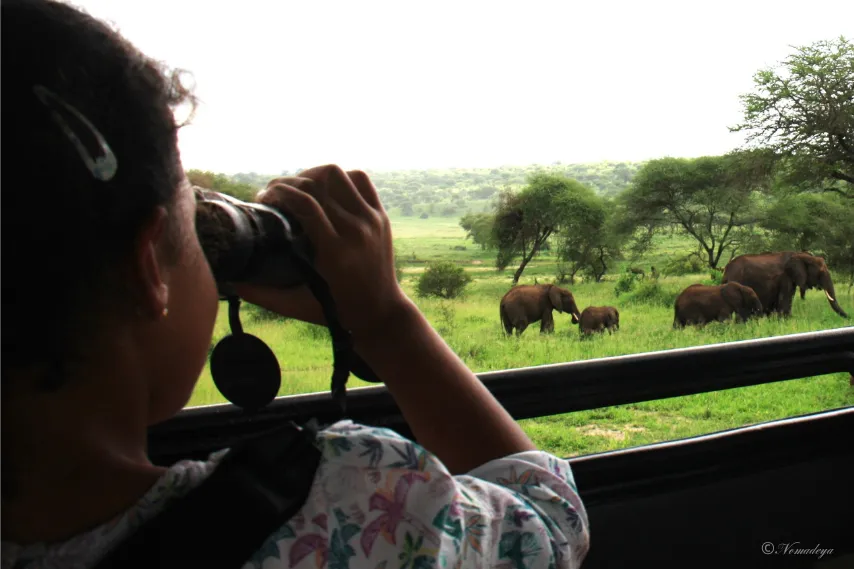 Voyager en famille : Tanzanie