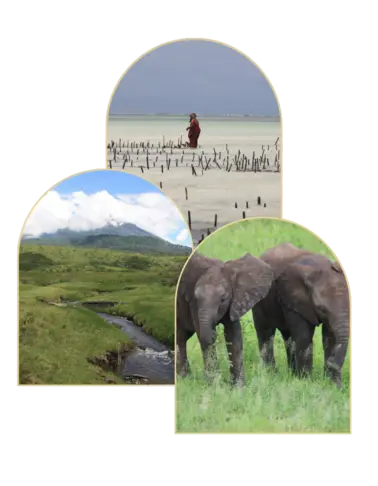 Voyage-sur-mesure-Afrique-Tanzanie Voyage sur mesure Afrique : Tanzanie