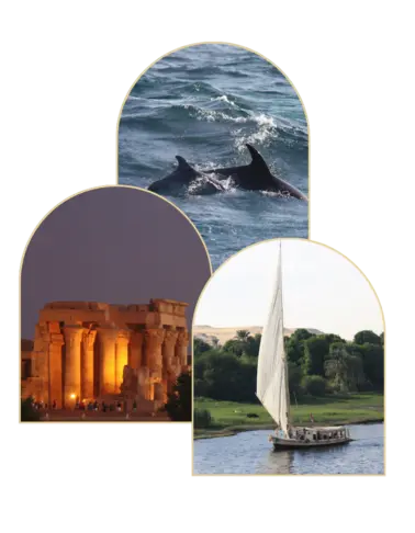Voyages moyen orient : Egypte Voyages moyen orient : Egypte