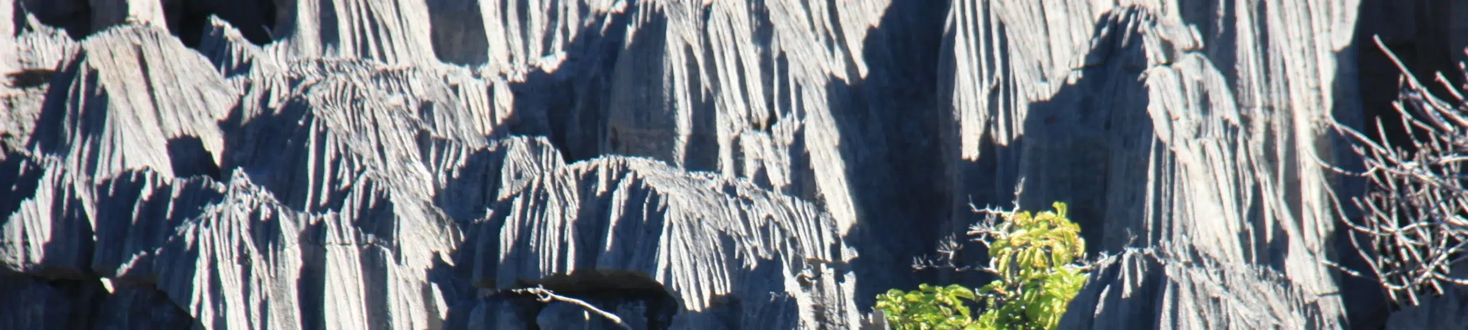 Voyage sur mesure Madagascar